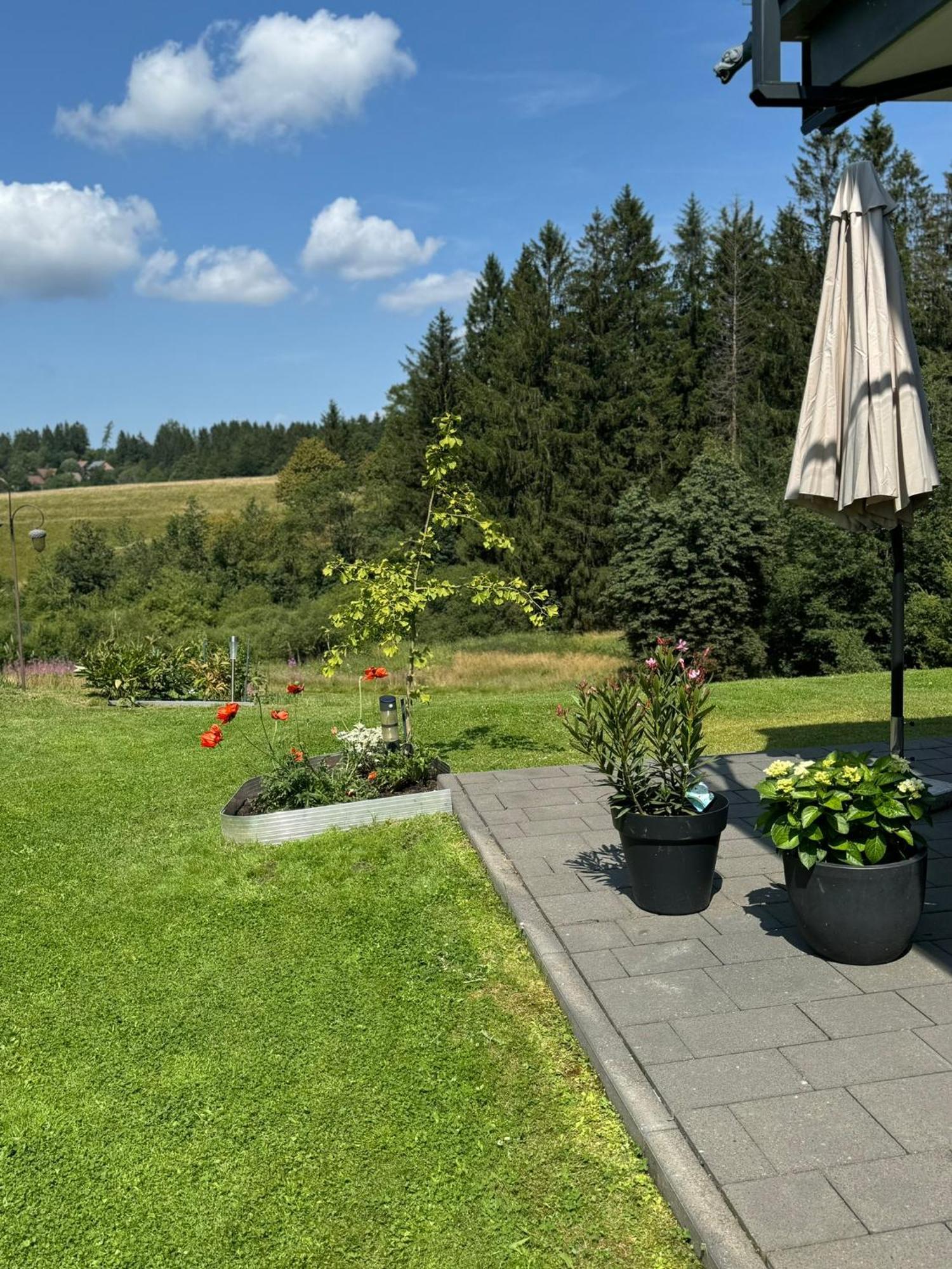 Appartement Max Clausthal-Zellerfeld Exterior foto