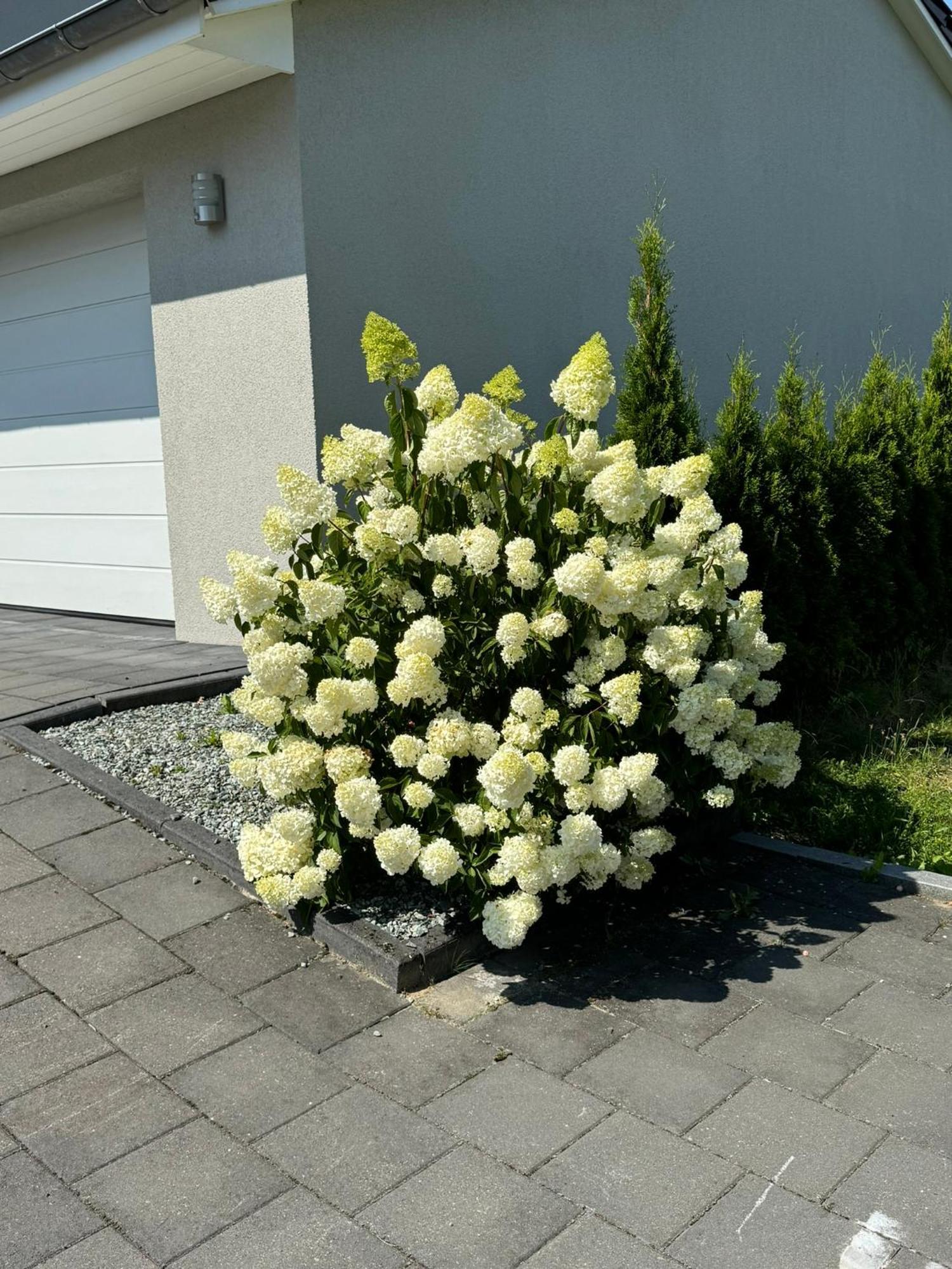 Appartement Max Clausthal-Zellerfeld Exterior foto